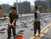 السما مطرت سمك قبل كده فى أسبانيا.. أغرب الأمطار حول العالم