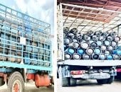 توصيل الغاز لـ300 ألف وحدة سكنية والتغذية الكهربائية لـ1.6 مليون بسيناء