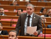 برلمانى: كلمة الرئيس السيسي في "إيجبس 2026" ترسخ دور مصر كقوة مؤثرة