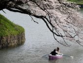 حدائق اليابان تتزين بقدوم فصل الربيع