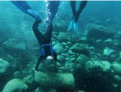 علماء آثار تحت الماء يكتشفون مقبرة سفن بميناء بطليموس القديم.. اعرف مكانها