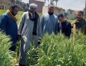  اعتماد 278 ألفا و236 استمارة لمزارعى بنى سويف ضمن منظومة كارت الفلاح