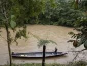 أسرار رئة الأرض.. أغرب وأجمل اكتشافات الأمازون صدمت العالم.. من نهر الغليان ببيرو ومدن الذهب المفقودة إلى اكتشاف 118 نوعاً من الأسماك بالإكوادور.. ولوحات تعود لـ12 ألف عام.. وضفادع الشوكولاتة والشفافة الأبرز