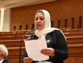 سحر صدقي: موقف مصر الحاسم يعكس دعما كاملا للإمارات ورفضا للاعتداءات