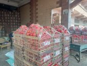 التموين بالإسكندرية: كيلو الطماطم بـ12 جنيها فى سوق الجملة بالحضرة