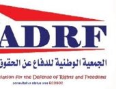 حقوقى: قصور تطبيق قانون الرؤية يكشف فجوة بين نصوص القانون والواقع الاجتماعى