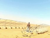 رئاسة مركز الخارجة: تنفيذ أعمال إزالة التعديات على أراضي الدولة بقرية فلسطين