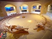 وادى الحيتان بالفيوم.. أول محمية تراث طبيعى عالمى بمصر