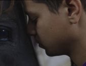 كل ما يجب أن تعرفه عن فيلم أحمد داش هاملت عزبة الصفيح