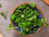 خبراء اعتبروه أعلى الخضراوات قيمة غذائية.. ما فوائد الجرجير