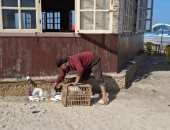 حملات مكثفة برأس البر لشفط مياه الأمطار ورفع المخلفات وتحسين المظهر الحضارى