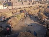 توريد محصول قصب السكر لمصانع أرمنت بالأقصر