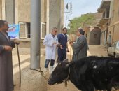 قافلة بيطرية بقرية الشيخ يوسف بسوهاج لعلاج الحيوانات بالمجان