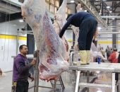 منال عوض تعلن التشغيل التجريبى لمجزر أبو كبير بالشرقية بتكلفة 25 مليون جنيه