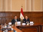 الخارجية: زيارة الرئيس السيسي للخليج خلال الحرب ترجمة لمبدأ "مسافة السكة"