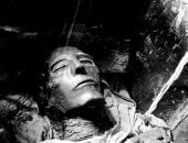 مومياء سيتى الأول.. نظرة ملكية حفرت هيبتها في القلوب