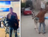 فيديو رجم الدابة.. الأمن يضبط بائع كفر الدوار بعد مشهد مثير للغضب