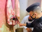 ضبط شخص لذبحه أبقارًا نافقة فى المنوفية.. اعرف التفاصيل