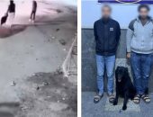 بسبب "أولوية المرور".. كيف سقط "بلطجية الكلب" في قبضة أمن البحيرة؟