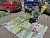 يباع مرة واحدة سنويًا.. تضفير زعف النخيل استعدادًا لاحتفالات أحد الزعف بالإسكندرية.. انتشار بائعى الزعف المضفر أمام الكنائس وسط إقبال الأقباط على الشراء.. البائعون: توارثنا فن تضفير الزعف من آبائنا.. فيديو وصور 