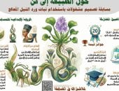 حول الطبيعة إلى فن.. مسابقة لإعادة تدوير ورد النيل بلمسات تراثية مصرية