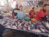 كفر الشيخ: مبادرة ضد الغلاء توفر الأسماك البلطي بـ60 جنيها والبوري بـ150