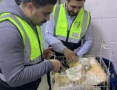 سلامة الغذاء تضبط 2 طن دواجن وجبن فاسدة داخل محلات شهيرة بطنطا