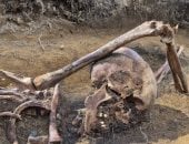 علماء الآثار يحلون لغزاً من الحرب العالمية الثانية فى بولندا.. ما القصة؟