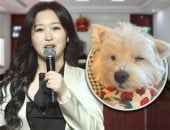 امرأة صينية تترك العمل بعد تسميم كلبها لخوض معركة قانونية تنتهى بسجن المتهم