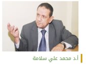 حسين السيد يكتب: أستاذى الدكتور محمد على سلامة