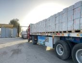 مصر تمد غزة بـ4910 أطنان من المساعدات الإنسانية وتستقبل الدفعة 31 من المصابين