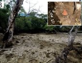 علماء يوثقون جزيرة فى المحيط الهادئ تشكلت من بقايا طعام البشر منذ ألف عام