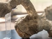 معرض بومبى يكشف لحظات الضحايا الأخيرة بعد ثوران بركان فيزوف.. صور