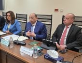 أسماء تشكيل اللجنة الفرعية لإعداد مشروع قانون الإدارة المحلية