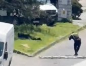 اللحظات الأولى لحادث إطلاق نار بالقرب من القنصلية الإسرائيلية في إسطنبول.. فيديو 