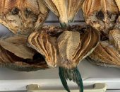 البكالا  ..تعرف على أشهر أكله لسكان البحر الأحمر فى شم النسيم ..صور