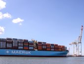 18 ألف طن قمح رصيد صوامع القطاع العام بميناء دمياط اليوم