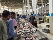 أسعار الأسماك في أسواق دمياط اليوم الأربعاء 22 أبريل 2026.. فيديو