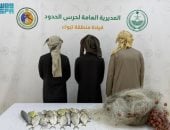 حرس الحدود بتبوك يضبط 3 مخالفين للائحة الأمن والسلامة للأنشطة البحرية