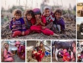 اليوم العالمى للغجر.. إحياء للثقافة وتسليط الضوء على التحديات