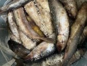 موسم الأسماك المملحة يشتعل.. الدقهلية فى الصدارة قبل شم النسيم «فيديو وصور»