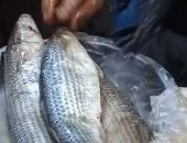 العروسة لازم تاكل فسيخ قبل الزفاف.. حكاية عادة متوارثة فى كفر الشيخ (فيديو)