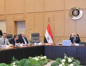 وزير الاستثمار يترأس اجتماع مجموعة العمل المعنية بالعلاقات المصرية الكورية 