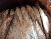 إزاى تعرف الفسيخة الحلوة.. تعالى هنقولك مواصفتها من قلعة الفسيخ فى مصر.. فيديو