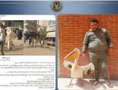 الداخلية تكشف ملابسات تقييد بجعة أمام محل أسماك فى طنطا