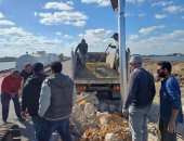 تركيب أعمدة إنارة بالطاقة الشمسية على طريق الحزام الآمن بالدقهلية.. صور