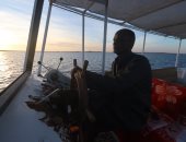 سفارى بحيرة ناصر.. رحلة هادئة للاستمتاع بصيد الأسماك ومراقبة الطيور.. صور