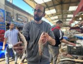 زحام على الأسماك الطازجة والمملحة ببورسعيد استعدادًا لشم النسيم