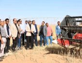 محافظ الوادي الجديد تشهد حصاد محصول القمح بأحد مشروعات الاستثمار الزراعي