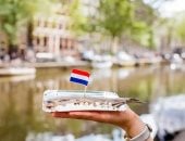 قبل شم النسيم.. تعرف على سعر أغلى رنجة فى العالم